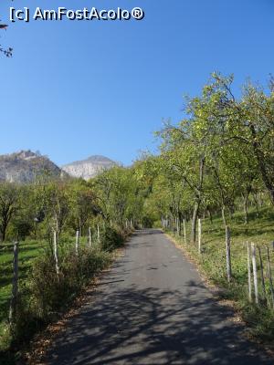 [P01] Ultimele sute de metri de șosea spre Schitul „44 de Izvoare”, Vâlcea.  » foto by tata123 🔱
 - 
<span class="allrVoted glyphicon glyphicon-heart hidden" id="av1143631"></span>
<a class="m-l-10 hidden" id="sv1143631" onclick="voting_Foto_DelVot(,1143631,3860)" role="button">șterge vot <span class="glyphicon glyphicon-remove"></span></a>
<a id="v91143631" class=" c-red"  onclick="voting_Foto_SetVot(1143631)" role="button"><span class="glyphicon glyphicon-heart-empty"></span> <b>LIKE</b> = Votează poza</a> <img class="hidden"  id="f1143631W9" src="/imagini/loader.gif" border="0" /><span class="AjErrMes hidden" id="e1143631ErM"></span>