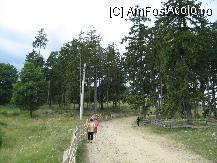[P01] drumul spre manastire, la iesirea din satul Homoraciu, aici se afla si un frumos parc » foto by cristi82d
 - 
<span class="allrVoted glyphicon glyphicon-heart hidden" id="av112236"></span>
<a class="m-l-10 hidden" id="sv112236" onclick="voting_Foto_DelVot(,112236,3872)" role="button">șterge vot <span class="glyphicon glyphicon-remove"></span></a>
<a id="v9112236" class=" c-red"  onclick="voting_Foto_SetVot(112236)" role="button"><span class="glyphicon glyphicon-heart-empty"></span> <b>LIKE</b> = Votează poza</a> <img class="hidden"  id="f112236W9" src="/imagini/loader.gif" border="0" /><span class="AjErrMes hidden" id="e112236ErM"></span>