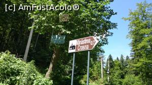 [P03] Acesta este indicatorul în spatele căruia este un anunț că doar mașinile 4*4 pot merge mai departe. Noi am văzut masini diferite, dar este adevărat că din acest punct nu prea multe.  » foto by Aurici
 - 
<span class="allrVoted glyphicon glyphicon-heart hidden" id="av881711"></span>
<a class="m-l-10 hidden" id="sv881711" onclick="voting_Foto_DelVot(,881711,3872)" role="button">șterge vot <span class="glyphicon glyphicon-remove"></span></a>
<a id="v9881711" class=" c-red"  onclick="voting_Foto_SetVot(881711)" role="button"><span class="glyphicon glyphicon-heart-empty"></span> <b>LIKE</b> = Votează poza</a> <img class="hidden"  id="f881711W9" src="/imagini/loader.gif" border="0" /><span class="AjErrMes hidden" id="e881711ErM"></span>