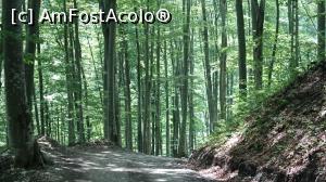 [P30] Parcă pe drumul ăsta este și mai frumos.  » foto by Aurici
 - 
<span class="allrVoted glyphicon glyphicon-heart hidden" id="av881738"></span>
<a class="m-l-10 hidden" id="sv881738" onclick="voting_Foto_DelVot(,881738,3872)" role="button">șterge vot <span class="glyphicon glyphicon-remove"></span></a>
<a id="v9881738" class=" c-red"  onclick="voting_Foto_SetVot(881738)" role="button"><span class="glyphicon glyphicon-heart-empty"></span> <b>LIKE</b> = Votează poza</a> <img class="hidden"  id="f881738W9" src="/imagini/loader.gif" border="0" /><span class="AjErrMes hidden" id="e881738ErM"></span>