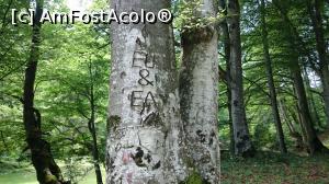 [P34] Și noi am fost prin pădure!!!  » foto by Aurici
 - 
<span class="allrVoted glyphicon glyphicon-heart hidden" id="av881742"></span>
<a class="m-l-10 hidden" id="sv881742" onclick="voting_Foto_DelVot(,881742,3872)" role="button">șterge vot <span class="glyphicon glyphicon-remove"></span></a>
<a id="v9881742" class=" c-red"  onclick="voting_Foto_SetVot(881742)" role="button"><span class="glyphicon glyphicon-heart-empty"></span> <b>LIKE</b> = Votează poza</a> <img class="hidden"  id="f881742W9" src="/imagini/loader.gif" border="0" /><span class="AjErrMes hidden" id="e881742ErM"></span>