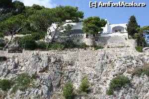 [P20] o vila cocheta in Capri » foto by crysss18
 - 
<span class="allrVoted glyphicon glyphicon-heart hidden" id="av535400"></span>
<a class="m-l-10 hidden" id="sv535400" onclick="voting_Foto_DelVot(,535400,3887)" role="button">șterge vot <span class="glyphicon glyphicon-remove"></span></a>
<a id="v9535400" class=" c-red"  onclick="voting_Foto_SetVot(535400)" role="button"><span class="glyphicon glyphicon-heart-empty"></span> <b>LIKE</b> = Votează poza</a> <img class="hidden"  id="f535400W9" src="/imagini/loader.gif" border="0" /><span class="AjErrMes hidden" id="e535400ErM"></span>