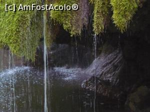 [P14] o alta perspectiva » foto by Yolanda
 - 
<span class="allrVoted glyphicon glyphicon-heart hidden" id="av885135"></span>
<a class="m-l-10 hidden" id="sv885135" onclick="voting_Foto_DelVot(,885135,3894)" role="button">șterge vot <span class="glyphicon glyphicon-remove"></span></a>
<a id="v9885135" class=" c-red"  onclick="voting_Foto_SetVot(885135)" role="button"><span class="glyphicon glyphicon-heart-empty"></span> <b>LIKE</b> = Votează poza</a> <img class="hidden"  id="f885135W9" src="/imagini/loader.gif" border="0" /><span class="AjErrMes hidden" id="e885135ErM"></span>