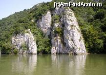 [P10] Peisaj sălbatic pe malul sârbesc al Dunării » foto by Costi
 - 
<span class="allrVoted glyphicon glyphicon-heart hidden" id="av35378"></span>
<a class="m-l-10 hidden" id="sv35378" onclick="voting_Foto_DelVot(,35378,3894)" role="button">șterge vot <span class="glyphicon glyphicon-remove"></span></a>
<a id="v935378" class=" c-red"  onclick="voting_Foto_SetVot(35378)" role="button"><span class="glyphicon glyphicon-heart-empty"></span> <b>LIKE</b> = Votează poza</a> <img class="hidden"  id="f35378W9" src="/imagini/loader.gif" border="0" /><span class="AjErrMes hidden" id="e35378ErM"></span>