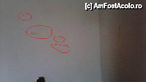 [P10] zugraveala distrusa » foto by ecologica
 - 
<span class="allrVoted glyphicon glyphicon-heart hidden" id="av588189"></span>
<a class="m-l-10 hidden" id="sv588189" onclick="voting_Foto_DelVot(,588189,3896)" role="button">șterge vot <span class="glyphicon glyphicon-remove"></span></a>
<a id="v9588189" class=" c-red"  onclick="voting_Foto_SetVot(588189)" role="button"><span class="glyphicon glyphicon-heart-empty"></span> <b>LIKE</b> = Votează poza</a> <img class="hidden"  id="f588189W9" src="/imagini/loader.gif" border="0" /><span class="AjErrMes hidden" id="e588189ErM"></span>