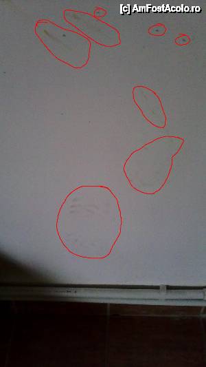 [P11] urme de bocanci pe pereti » foto by ecologica
 - 
<span class="allrVoted glyphicon glyphicon-heart hidden" id="av588190"></span>
<a class="m-l-10 hidden" id="sv588190" onclick="voting_Foto_DelVot(,588190,3896)" role="button">șterge vot <span class="glyphicon glyphicon-remove"></span></a>
<a id="v9588190" class=" c-red"  onclick="voting_Foto_SetVot(588190)" role="button"><span class="glyphicon glyphicon-heart-empty"></span> <b>LIKE</b> = Votează poza</a> <img class="hidden"  id="f588190W9" src="/imagini/loader.gif" border="0" /><span class="AjErrMes hidden" id="e588190ErM"></span>