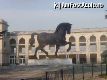 [P03] Hipodromul Milano, statuia ecvestra este mai inalta  decat cladirea! » foto by sunflower
 - 
<span class="allrVoted glyphicon glyphicon-heart hidden" id="av303804"></span>
<a class="m-l-10 hidden" id="sv303804" onclick="voting_Foto_DelVot(,303804,3925)" role="button">șterge vot <span class="glyphicon glyphicon-remove"></span></a>
<a id="v9303804" class=" c-red"  onclick="voting_Foto_SetVot(303804)" role="button"><span class="glyphicon glyphicon-heart-empty"></span> <b>LIKE</b> = Votează poza</a> <img class="hidden"  id="f303804W9" src="/imagini/loader.gif" border="0" /><span class="AjErrMes hidden" id="e303804ErM"></span>