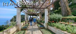 [P42] Villa San Michele, grădină » foto by irinad
 - 
<span class="allrVoted glyphicon glyphicon-heart hidden" id="av1535979"></span>
<a class="m-l-10 hidden" id="sv1535979" onclick="voting_Foto_DelVot(,1535979,3926)" role="button">șterge vot <span class="glyphicon glyphicon-remove"></span></a>
<a id="v91535979" class=" c-red"  onclick="voting_Foto_SetVot(1535979)" role="button"><span class="glyphicon glyphicon-heart-empty"></span> <b>LIKE</b> = Votează poza</a> <img class="hidden"  id="f1535979W9" src="/imagini/loader.gif" border="0" /><span class="AjErrMes hidden" id="e1535979ErM"></span>