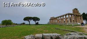 [P87] Paestum, Templul Atenei » foto by irinad
 - 
<span class="allrVoted glyphicon glyphicon-heart hidden" id="av1536024"></span>
<a class="m-l-10 hidden" id="sv1536024" onclick="voting_Foto_DelVot(,1536024,3926)" role="button">șterge vot <span class="glyphicon glyphicon-remove"></span></a>
<a id="v91536024" class=" c-red"  onclick="voting_Foto_SetVot(1536024)" role="button"><span class="glyphicon glyphicon-heart-empty"></span> <b>LIKE</b> = Votează poza</a> <img class="hidden"  id="f1536024W9" src="/imagini/loader.gif" border="0" /><span class="AjErrMes hidden" id="e1536024ErM"></span>