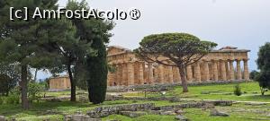 [P01] Cele două temple, al Herei în stânga, al lui Poseidon în dreapta văzute de pe aleea de intrare în sit » foto by irinad
 - 
<span class="allrVoted glyphicon glyphicon-heart hidden" id="av1537565"></span>
<a class="m-l-10 hidden" id="sv1537565" onclick="voting_Foto_DelVot(,1537565,3926)" role="button">șterge vot <span class="glyphicon glyphicon-remove"></span></a>
<a id="v91537565" class=" c-red"  onclick="voting_Foto_SetVot(1537565)" role="button"><span class="glyphicon glyphicon-heart-empty"></span> <b>LIKE</b> = Votează poza</a> <img class="hidden"  id="f1537565W9" src="/imagini/loader.gif" border="0" /><span class="AjErrMes hidden" id="e1537565ErM"></span>