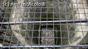 [P22]  -- <small>// FĂRĂ DESCRIERE</small> » foto by pepsi70ro
 - 
<span class="allrVoted glyphicon glyphicon-heart hidden" id="av1520589"></span>
<a class="m-l-10 hidden" id="sv1520589" onclick="voting_Foto_DelVot(,1520589,3934)" role="button">șterge vot <span class="glyphicon glyphicon-remove"></span></a>
<a id="v91520589" class=" c-red"  onclick="voting_Foto_SetVot(1520589)" role="button"><span class="glyphicon glyphicon-heart-empty"></span> <b>LIKE</b> = Votează poza</a> <img class="hidden"  id="f1520589W9" src="/imagini/loader.gif" border="0" /><span class="AjErrMes hidden" id="e1520589ErM"></span>