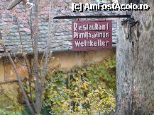 [P111] Sibiu pentru prima data 6.11.2010 » foto by ionescunic
 - 
<span class="allrVoted glyphicon glyphicon-heart hidden" id="av290670"></span>
<a class="m-l-10 hidden" id="sv290670" onclick="voting_Foto_DelVot(,290670,3936)" role="button">șterge vot <span class="glyphicon glyphicon-remove"></span></a>
<a id="v9290670" class=" c-red"  onclick="voting_Foto_SetVot(290670)" role="button"><span class="glyphicon glyphicon-heart-empty"></span> <b>LIKE</b> = Votează poza</a> <img class="hidden"  id="f290670W9" src="/imagini/loader.gif" border="0" /><span class="AjErrMes hidden" id="e290670ErM"></span>