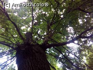 [P19] Parcul Astra, Sibiu » foto by Mioritik
 - 
<span class="allrVoted glyphicon glyphicon-heart hidden" id="av1295183"></span>
<a class="m-l-10 hidden" id="sv1295183" onclick="voting_Foto_DelVot(,1295183,3936)" role="button">șterge vot <span class="glyphicon glyphicon-remove"></span></a>
<a id="v91295183" class=" c-red"  onclick="voting_Foto_SetVot(1295183)" role="button"><span class="glyphicon glyphicon-heart-empty"></span> <b>LIKE</b> = Votează poza</a> <img class="hidden"  id="f1295183W9" src="/imagini/loader.gif" border="0" /><span class="AjErrMes hidden" id="e1295183ErM"></span>