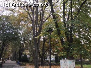 [P26] Sibiu - Parcul Astra si celebrele statui » foto by mishu
 - 
<span class="allrVoted glyphicon glyphicon-heart hidden" id="av1339721"></span>
<a class="m-l-10 hidden" id="sv1339721" onclick="voting_Foto_DelVot(,1339721,3936)" role="button">șterge vot <span class="glyphicon glyphicon-remove"></span></a>
<a id="v91339721" class=" c-red"  onclick="voting_Foto_SetVot(1339721)" role="button"><span class="glyphicon glyphicon-heart-empty"></span> <b>LIKE</b> = Votează poza</a> <img class="hidden"  id="f1339721W9" src="/imagini/loader.gif" border="0" /><span class="AjErrMes hidden" id="e1339721ErM"></span>