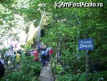 [P14] Acum am inteles ca nu mai exista cascada... » foto by georgiana
 - 
<span class="allrVoted glyphicon glyphicon-heart hidden" id="av28373"></span>
<a class="m-l-10 hidden" id="sv28373" onclick="voting_Foto_DelVot(,28373,3939)" role="button">șterge vot <span class="glyphicon glyphicon-remove"></span></a>
<a id="v928373" class=" c-red"  onclick="voting_Foto_SetVot(28373)" role="button"><span class="glyphicon glyphicon-heart-empty"></span> <b>LIKE</b> = Votează poza</a> <img class="hidden"  id="f28373W9" src="/imagini/loader.gif" border="0" /><span class="AjErrMes hidden" id="e28373ErM"></span>