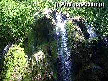 [P15] Cascada Beusnita...in mai... » foto by georgiana
 - 
<span class="allrVoted glyphicon glyphicon-heart hidden" id="av28374"></span>
<a class="m-l-10 hidden" id="sv28374" onclick="voting_Foto_DelVot(,28374,3939)" role="button">șterge vot <span class="glyphicon glyphicon-remove"></span></a>
<a id="v928374" class=" c-red"  onclick="voting_Foto_SetVot(28374)" role="button"><span class="glyphicon glyphicon-heart-empty"></span> <b>LIKE</b> = Votează poza</a> <img class="hidden"  id="f28374W9" src="/imagini/loader.gif" border="0" /><span class="AjErrMes hidden" id="e28374ErM"></span>