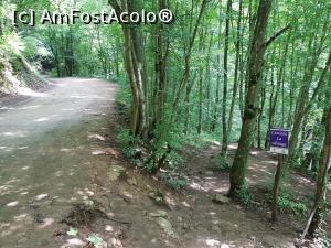 [P28] Am ajuns lângă o altă cascadă - ”La văioagă”. » foto by Floryn81
 - 
<span class="allrVoted glyphicon glyphicon-heart hidden" id="av1176907"></span>
<a class="m-l-10 hidden" id="sv1176907" onclick="voting_Foto_DelVot(,1176907,3939)" role="button">șterge vot <span class="glyphicon glyphicon-remove"></span></a>
<a id="v91176907" class=" c-red"  onclick="voting_Foto_SetVot(1176907)" role="button"><span class="glyphicon glyphicon-heart-empty"></span> <b>LIKE</b> = Votează poza</a> <img class="hidden"  id="f1176907W9" src="/imagini/loader.gif" border="0" /><span class="AjErrMes hidden" id="e1176907ErM"></span>