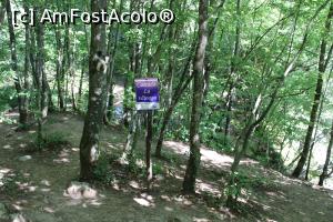 [P35] Parcul Național Cheile Nerei – Beușnița, Indicatorul pentru Cascada Văioaga vizibil pe la jumătate drumului Păstrăvărie- Podul Bei » foto by mprofeanu
 - 
<span class="allrVoted glyphicon glyphicon-heart hidden" id="av1189039"></span>
<a class="m-l-10 hidden" id="sv1189039" onclick="voting_Foto_DelVot(,1189039,3939)" role="button">șterge vot <span class="glyphicon glyphicon-remove"></span></a>
<a id="v91189039" class=" c-red"  onclick="voting_Foto_SetVot(1189039)" role="button"><span class="glyphicon glyphicon-heart-empty"></span> <b>LIKE</b> = Votează poza</a> <img class="hidden"  id="f1189039W9" src="/imagini/loader.gif" border="0" /><span class="AjErrMes hidden" id="e1189039ErM"></span>