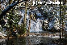 [P12] in drum spre cascada beusnitei » foto by mariana
 - 
<span class="allrVoted glyphicon glyphicon-heart hidden" id="av54437"></span>
<a class="m-l-10 hidden" id="sv54437" onclick="voting_Foto_DelVot(,54437,3939)" role="button">șterge vot <span class="glyphicon glyphicon-remove"></span></a>
<a id="v954437" class=" c-red"  onclick="voting_Foto_SetVot(54437)" role="button"><span class="glyphicon glyphicon-heart-empty"></span> <b>LIKE</b> = Votează poza</a> <img class="hidden"  id="f54437W9" src="/imagini/loader.gif" border="0" /><span class="AjErrMes hidden" id="e54437ErM"></span>