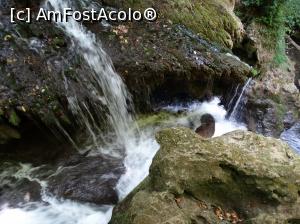 [P07] Ochiul Beu şi Cascadele Beuşniţei. In poze nu arata cine stie ce. Dar va spun ca in realitate cascada este superba :)  » foto by vega06
 - 
<span class="allrVoted glyphicon glyphicon-heart hidden" id="av733781"></span>
<a class="m-l-10 hidden" id="sv733781" onclick="voting_Foto_DelVot(,733781,3939)" role="button">șterge vot <span class="glyphicon glyphicon-remove"></span></a>
<a id="v9733781" class=" c-red"  onclick="voting_Foto_SetVot(733781)" role="button"><span class="glyphicon glyphicon-heart-empty"></span> <b>LIKE</b> = Votează poza</a> <img class="hidden"  id="f733781W9" src="/imagini/loader.gif" border="0" /><span class="AjErrMes hidden" id="e733781ErM"></span>