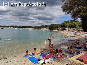 [P69] O parte din plaja Vrsar/Orsera » foto by crismis
 - 
<span class="allrVoted glyphicon glyphicon-heart hidden" id="av1333456"></span>
<a class="m-l-10 hidden" id="sv1333456" onclick="voting_Foto_DelVot(,1333456,3940)" role="button">șterge vot <span class="glyphicon glyphicon-remove"></span></a>
<a id="v91333456" class=" c-red"  onclick="voting_Foto_SetVot(1333456)" role="button"><span class="glyphicon glyphicon-heart-empty"></span> <b>LIKE</b> = Votează poza</a> <img class="hidden"  id="f1333456W9" src="/imagini/loader.gif" border="0" /><span class="AjErrMes hidden" id="e1333456ErM"></span>