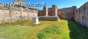 [P28] Sanctuarul Lari Pubblici. » foto by tata123 🔱
 - 
<span class="allrVoted glyphicon glyphicon-heart hidden" id="av1530731"></span>
<a class="m-l-10 hidden" id="sv1530731" onclick="voting_Foto_DelVot(,1530731,3976)" role="button">șterge vot <span class="glyphicon glyphicon-remove"></span></a>
<a id="v91530731" class=" c-red"  onclick="voting_Foto_SetVot(1530731)" role="button"><span class="glyphicon glyphicon-heart-empty"></span> <b>LIKE</b> = Votează poza</a> <img class="hidden"  id="f1530731W9" src="/imagini/loader.gif" border="0" /><span class="AjErrMes hidden" id="e1530731ErM"></span>