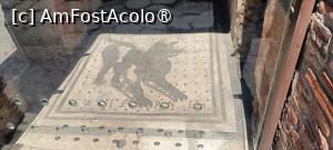 [P32] „Atenție la câine!” - mozaic la intrare în casă. » foto by tata123 🔱
 - 
<span class="allrVoted glyphicon glyphicon-heart hidden" id="av1530735"></span>
<a class="m-l-10 hidden" id="sv1530735" onclick="voting_Foto_DelVot(,1530735,3976)" role="button">șterge vot <span class="glyphicon glyphicon-remove"></span></a>
<a id="v91530735" class=" c-red"  onclick="voting_Foto_SetVot(1530735)" role="button"><span class="glyphicon glyphicon-heart-empty"></span> <b>LIKE</b> = Votează poza</a> <img class="hidden"  id="f1530735W9" src="/imagini/loader.gif" border="0" /><span class="AjErrMes hidden" id="e1530735ErM"></span>