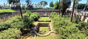[P41] Villa di Diomede - grădina. » foto by tata123 🔱
 - 
<span class="allrVoted glyphicon glyphicon-heart hidden" id="av1530744"></span>
<a class="m-l-10 hidden" id="sv1530744" onclick="voting_Foto_DelVot(,1530744,3976)" role="button">șterge vot <span class="glyphicon glyphicon-remove"></span></a>
<a id="v91530744" class=" c-red"  onclick="voting_Foto_SetVot(1530744)" role="button"><span class="glyphicon glyphicon-heart-empty"></span> <b>LIKE</b> = Votează poza</a> <img class="hidden"  id="f1530744W9" src="/imagini/loader.gif" border="0" /><span class="AjErrMes hidden" id="e1530744ErM"></span>