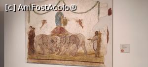 [P43] Antiquarium - zona de muzeu. » foto by tata123 🔱
 - 
<span class="allrVoted glyphicon glyphicon-heart hidden" id="av1530746"></span>
<a class="m-l-10 hidden" id="sv1530746" onclick="voting_Foto_DelVot(,1530746,3976)" role="button">șterge vot <span class="glyphicon glyphicon-remove"></span></a>
<a id="v91530746" class=" c-red"  onclick="voting_Foto_SetVot(1530746)" role="button"><span class="glyphicon glyphicon-heart-empty"></span> <b>LIKE</b> = Votează poza</a> <img class="hidden"  id="f1530746W9" src="/imagini/loader.gif" border="0" /><span class="AjErrMes hidden" id="e1530746ErM"></span>