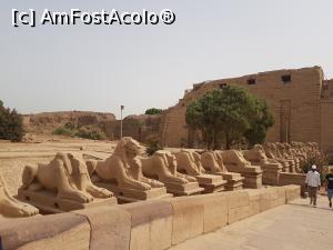 [P23] Coloși - intrare la templul din Luxor » foto by TeLav
 - 
<span class="allrVoted glyphicon glyphicon-heart hidden" id="av1108905"></span>
<a class="m-l-10 hidden" id="sv1108905" onclick="voting_Foto_DelVot(,1108905,3997)" role="button">șterge vot <span class="glyphicon glyphicon-remove"></span></a>
<a id="v91108905" class=" c-red"  onclick="voting_Foto_SetVot(1108905)" role="button"><span class="glyphicon glyphicon-heart-empty"></span> <b>LIKE</b> = Votează poza</a> <img class="hidden"  id="f1108905W9" src="/imagini/loader.gif" border="0" /><span class="AjErrMes hidden" id="e1108905ErM"></span>