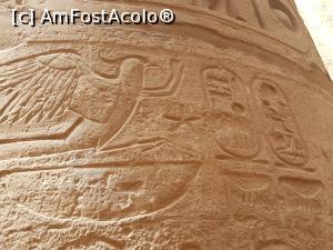 [P28] Inscripții de pe coloanele Templului din Luxor » foto by TeLav
 - 
<span class="allrVoted glyphicon glyphicon-heart hidden" id="av1108910"></span>
<a class="m-l-10 hidden" id="sv1108910" onclick="voting_Foto_DelVot(,1108910,3997)" role="button">șterge vot <span class="glyphicon glyphicon-remove"></span></a>
<a id="v91108910" class=" c-red"  onclick="voting_Foto_SetVot(1108910)" role="button"><span class="glyphicon glyphicon-heart-empty"></span> <b>LIKE</b> = Votează poza</a> <img class="hidden"  id="f1108910W9" src="/imagini/loader.gif" border="0" /><span class="AjErrMes hidden" id="e1108910ErM"></span>