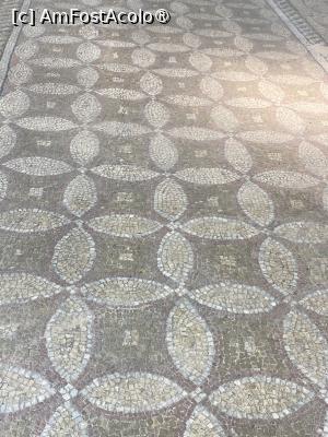 [P18] Edificiul Roman cu Mozaic. Mozaicul antic. » foto by Floria
 - 
<span class="allrVoted glyphicon glyphicon-heart hidden" id="av1523759"></span>
<a class="m-l-10 hidden" id="sv1523759" onclick="voting_Foto_DelVot(,1523759,4001)" role="button">șterge vot <span class="glyphicon glyphicon-remove"></span></a>
<a id="v91523759" class=" c-red"  onclick="voting_Foto_SetVot(1523759)" role="button"><span class="glyphicon glyphicon-heart-empty"></span> <b>LIKE</b> = Votează poza</a> <img class="hidden"  id="f1523759W9" src="/imagini/loader.gif" border="0" /><span class="AjErrMes hidden" id="e1523759ErM"></span>