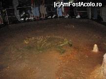 [P11] schelet urs ; pestera era ' barlogul ' ursilor de caverna care au trait acum cateva mii de ani in acesta zona. » foto by mirelutza
 - 
<span class="allrVoted glyphicon glyphicon-heart hidden" id="av45176"></span>
<a class="m-l-10 hidden" id="sv45176" onclick="voting_Foto_DelVot(,45176,4024)" role="button">șterge vot <span class="glyphicon glyphicon-remove"></span></a>
<a id="v945176" class=" c-red"  onclick="voting_Foto_SetVot(45176)" role="button"><span class="glyphicon glyphicon-heart-empty"></span> <b>LIKE</b> = Votează poza</a> <img class="hidden"  id="f45176W9" src="/imagini/loader.gif" border="0" /><span class="AjErrMes hidden" id="e45176ErM"></span>