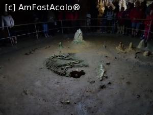 [P16] Scheletul refăcut de urs de peșteră.  » foto by tata123 🔱
 - 
<span class="allrVoted glyphicon glyphicon-heart hidden" id="av1108258"></span>
<a class="m-l-10 hidden" id="sv1108258" onclick="voting_Foto_DelVot(,1108258,4024)" role="button">șterge vot <span class="glyphicon glyphicon-remove"></span></a>
<a id="v91108258" class=" c-red"  onclick="voting_Foto_SetVot(1108258)" role="button"><span class="glyphicon glyphicon-heart-empty"></span> <b>LIKE</b> = Votează poza</a> <img class="hidden"  id="f1108258W9" src="/imagini/loader.gif" border="0" /><span class="AjErrMes hidden" id="e1108258ErM"></span>