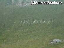 [P24]  -- <small>// FĂRĂ DESCRIERE</small> » foto by Claudiu U.
 - 
<span class="allrVoted glyphicon glyphicon-heart hidden" id="av244204"></span>
<a class="m-l-10 hidden" id="sv244204" onclick="voting_Foto_DelVot(,244204,4027)" role="button">șterge vot <span class="glyphicon glyphicon-remove"></span></a>
<a id="v9244204" class=" c-red"  onclick="voting_Foto_SetVot(244204)" role="button"><span class="glyphicon glyphicon-heart-empty"></span> <b>LIKE</b> = Votează poza</a> <img class="hidden"  id="f244204W9" src="/imagini/loader.gif" border="0" /><span class="AjErrMes hidden" id="e244204ErM"></span>