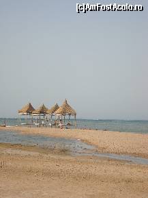 [P38] sperăm să revenim... » foto by RLY22*
 - 
<span class="allrVoted glyphicon glyphicon-heart hidden" id="av100275"></span>
<a class="m-l-10 hidden" id="sv100275" onclick="voting_Foto_DelVot(,100275,4046)" role="button">șterge vot <span class="glyphicon glyphicon-remove"></span></a>
<a id="v9100275" class=" c-red"  onclick="voting_Foto_SetVot(100275)" role="button"><span class="glyphicon glyphicon-heart-empty"></span> <b>LIKE</b> = Votează poza</a> <img class="hidden"  id="f100275W9" src="/imagini/loader.gif" border="0" /><span class="AjErrMes hidden" id="e100275ErM"></span>