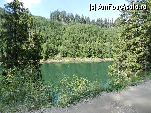 [P100]  -- <small>// FĂRĂ DESCRIERE</small> » foto by ionescunic
 - 
<span class="allrVoted glyphicon glyphicon-heart hidden" id="av345442"></span>
<a class="m-l-10 hidden" id="sv345442" onclick="voting_Foto_DelVot(,345442,4076)" role="button">șterge vot <span class="glyphicon glyphicon-remove"></span></a>
<a id="v9345442" class=" c-red"  onclick="voting_Foto_SetVot(345442)" role="button"><span class="glyphicon glyphicon-heart-empty"></span> <b>LIKE</b> = Votează poza</a> <img class="hidden"  id="f345442W9" src="/imagini/loader.gif" border="0" /><span class="AjErrMes hidden" id="e345442ErM"></span>