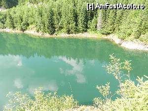 [P102]  -- <small>// FĂRĂ DESCRIERE</small> » foto by ionescunic
 - 
<span class="allrVoted glyphicon glyphicon-heart hidden" id="av345444"></span>
<a class="m-l-10 hidden" id="sv345444" onclick="voting_Foto_DelVot(,345444,4076)" role="button">șterge vot <span class="glyphicon glyphicon-remove"></span></a>
<a id="v9345444" class=" c-red"  onclick="voting_Foto_SetVot(345444)" role="button"><span class="glyphicon glyphicon-heart-empty"></span> <b>LIKE</b> = Votează poza</a> <img class="hidden"  id="f345444W9" src="/imagini/loader.gif" border="0" /><span class="AjErrMes hidden" id="e345444ErM"></span>