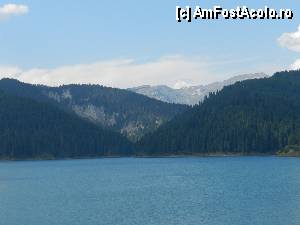 [P105]  -- <small>// FĂRĂ DESCRIERE</small> » foto by ionescunic
 - 
<span class="allrVoted glyphicon glyphicon-heart hidden" id="av345447"></span>
<a class="m-l-10 hidden" id="sv345447" onclick="voting_Foto_DelVot(,345447,4076)" role="button">șterge vot <span class="glyphicon glyphicon-remove"></span></a>
<a id="v9345447" class=" c-red"  onclick="voting_Foto_SetVot(345447)" role="button"><span class="glyphicon glyphicon-heart-empty"></span> <b>LIKE</b> = Votează poza</a> <img class="hidden"  id="f345447W9" src="/imagini/loader.gif" border="0" /><span class="AjErrMes hidden" id="e345447ErM"></span>