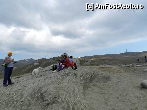 [P33]  -- <small>// FĂRĂ DESCRIERE</small> » foto by ionescunic
 - 
<span class="allrVoted glyphicon glyphicon-heart hidden" id="av345358"></span>
<a class="m-l-10 hidden" id="sv345358" onclick="voting_Foto_DelVot(,345358,4076)" role="button">șterge vot <span class="glyphicon glyphicon-remove"></span></a>
<a id="v9345358" class=" c-red"  onclick="voting_Foto_SetVot(345358)" role="button"><span class="glyphicon glyphicon-heart-empty"></span> <b>LIKE</b> = Votează poza</a> <img class="hidden"  id="f345358W9" src="/imagini/loader.gif" border="0" /><span class="AjErrMes hidden" id="e345358ErM"></span>