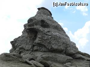 [P36] Sfinxul, dupa operatia estetica aplicata de vreme, natura si timp » foto by ionescunic
 - 
<span class="allrVoted glyphicon glyphicon-heart hidden" id="av345365"></span>
<a class="m-l-10 hidden" id="sv345365" onclick="voting_Foto_DelVot(,345365,4076)" role="button">șterge vot <span class="glyphicon glyphicon-remove"></span></a>
<a id="v9345365" class=" c-red"  onclick="voting_Foto_SetVot(345365)" role="button"><span class="glyphicon glyphicon-heart-empty"></span> <b>LIKE</b> = Votează poza</a> <img class="hidden"  id="f345365W9" src="/imagini/loader.gif" border="0" /><span class="AjErrMes hidden" id="e345365ErM"></span>