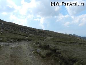 [P38] Drumul serpuieste usor spre varful cel mai important din Bucegi » foto by ionescunic
 - 
<span class="allrVoted glyphicon glyphicon-heart hidden" id="av345370"></span>
<a class="m-l-10 hidden" id="sv345370" onclick="voting_Foto_DelVot(,345370,4076)" role="button">șterge vot <span class="glyphicon glyphicon-remove"></span></a>
<a id="v9345370" class=" c-red"  onclick="voting_Foto_SetVot(345370)" role="button"><span class="glyphicon glyphicon-heart-empty"></span> <b>LIKE</b> = Votează poza</a> <img class="hidden"  id="f345370W9" src="/imagini/loader.gif" border="0" /><span class="AjErrMes hidden" id="e345370ErM"></span>