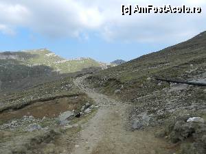 [P39]  -- <small>// FĂRĂ DESCRIERE</small> » foto by ionescunic
 - 
<span class="allrVoted glyphicon glyphicon-heart hidden" id="av345371"></span>
<a class="m-l-10 hidden" id="sv345371" onclick="voting_Foto_DelVot(,345371,4076)" role="button">șterge vot <span class="glyphicon glyphicon-remove"></span></a>
<a id="v9345371" class=" c-red"  onclick="voting_Foto_SetVot(345371)" role="button"><span class="glyphicon glyphicon-heart-empty"></span> <b>LIKE</b> = Votează poza</a> <img class="hidden"  id="f345371W9" src="/imagini/loader.gif" border="0" /><span class="AjErrMes hidden" id="e345371ErM"></span>