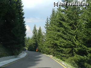 [P04] Cam asa arata drumul » foto by ionescunic
 - 
<span class="allrVoted glyphicon glyphicon-heart hidden" id="av345302"></span>
<a class="m-l-10 hidden" id="sv345302" onclick="voting_Foto_DelVot(,345302,4076)" role="button">șterge vot <span class="glyphicon glyphicon-remove"></span></a>
<a id="v9345302" class=" c-red"  onclick="voting_Foto_SetVot(345302)" role="button"><span class="glyphicon glyphicon-heart-empty"></span> <b>LIKE</b> = Votează poza</a> <img class="hidden"  id="f345302W9" src="/imagini/loader.gif" border="0" /><span class="AjErrMes hidden" id="e345302ErM"></span>