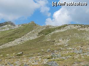 [P48]  -- <small>// FĂRĂ DESCRIERE</small> » foto by ionescunic
 - 
<span class="allrVoted glyphicon glyphicon-heart hidden" id="av345384"></span>
<a class="m-l-10 hidden" id="sv345384" onclick="voting_Foto_DelVot(,345384,4076)" role="button">șterge vot <span class="glyphicon glyphicon-remove"></span></a>
<a id="v9345384" class=" c-red"  onclick="voting_Foto_SetVot(345384)" role="button"><span class="glyphicon glyphicon-heart-empty"></span> <b>LIKE</b> = Votează poza</a> <img class="hidden"  id="f345384W9" src="/imagini/loader.gif" border="0" /><span class="AjErrMes hidden" id="e345384ErM"></span>