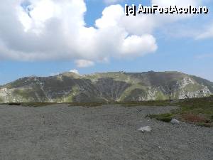 [P49]  -- <small>// FĂRĂ DESCRIERE</small> » foto by ionescunic
 - 
<span class="allrVoted glyphicon glyphicon-heart hidden" id="av345385"></span>
<a class="m-l-10 hidden" id="sv345385" onclick="voting_Foto_DelVot(,345385,4076)" role="button">șterge vot <span class="glyphicon glyphicon-remove"></span></a>
<a id="v9345385" class=" c-red"  onclick="voting_Foto_SetVot(345385)" role="button"><span class="glyphicon glyphicon-heart-empty"></span> <b>LIKE</b> = Votează poza</a> <img class="hidden"  id="f345385W9" src="/imagini/loader.gif" border="0" /><span class="AjErrMes hidden" id="e345385ErM"></span>