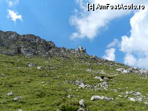 [P54]  -- <small>// FĂRĂ DESCRIERE</small> » foto by ionescunic
 - 
<span class="allrVoted glyphicon glyphicon-heart hidden" id="av345392"></span>
<a class="m-l-10 hidden" id="sv345392" onclick="voting_Foto_DelVot(,345392,4076)" role="button">șterge vot <span class="glyphicon glyphicon-remove"></span></a>
<a id="v9345392" class=" c-red"  onclick="voting_Foto_SetVot(345392)" role="button"><span class="glyphicon glyphicon-heart-empty"></span> <b>LIKE</b> = Votează poza</a> <img class="hidden"  id="f345392W9" src="/imagini/loader.gif" border="0" /><span class="AjErrMes hidden" id="e345392ErM"></span>