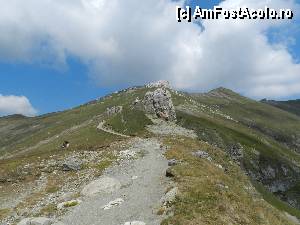 [P67]  -- <small>// FĂRĂ DESCRIERE</small> » foto by ionescunic
 - 
<span class="allrVoted glyphicon glyphicon-heart hidden" id="av345409"></span>
<a class="m-l-10 hidden" id="sv345409" onclick="voting_Foto_DelVot(,345409,4076)" role="button">șterge vot <span class="glyphicon glyphicon-remove"></span></a>
<a id="v9345409" class=" c-red"  onclick="voting_Foto_SetVot(345409)" role="button"><span class="glyphicon glyphicon-heart-empty"></span> <b>LIKE</b> = Votează poza</a> <img class="hidden"  id="f345409W9" src="/imagini/loader.gif" border="0" /><span class="AjErrMes hidden" id="e345409ErM"></span>