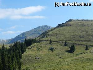 [P09]  -- <small>// FĂRĂ DESCRIERE</small> » foto by ionescunic
 - 
<span class="allrVoted glyphicon glyphicon-heart hidden" id="av345311"></span>
<a class="m-l-10 hidden" id="sv345311" onclick="voting_Foto_DelVot(,345311,4076)" role="button">șterge vot <span class="glyphicon glyphicon-remove"></span></a>
<a id="v9345311" class=" c-red"  onclick="voting_Foto_SetVot(345311)" role="button"><span class="glyphicon glyphicon-heart-empty"></span> <b>LIKE</b> = Votează poza</a> <img class="hidden"  id="f345311W9" src="/imagini/loader.gif" border="0" /><span class="AjErrMes hidden" id="e345311ErM"></span>