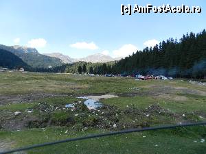 [P96]  -- <small>// FĂRĂ DESCRIERE</small> » foto by ionescunic
 - 
<span class="allrVoted glyphicon glyphicon-heart hidden" id="av345438"></span>
<a class="m-l-10 hidden" id="sv345438" onclick="voting_Foto_DelVot(,345438,4076)" role="button">șterge vot <span class="glyphicon glyphicon-remove"></span></a>
<a id="v9345438" class=" c-red"  onclick="voting_Foto_SetVot(345438)" role="button"><span class="glyphicon glyphicon-heart-empty"></span> <b>LIKE</b> = Votează poza</a> <img class="hidden"  id="f345438W9" src="/imagini/loader.gif" border="0" /><span class="AjErrMes hidden" id="e345438ErM"></span>